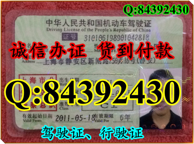 2016年 新版 驾驶证样本 驾驶证样本图片