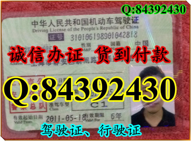 2016年 新版 驾驶证样本 驾驶证样本图片
