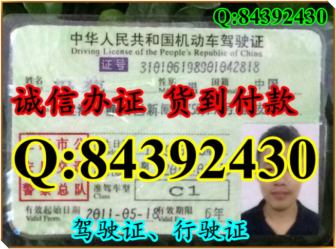 2016年 新版 驾驶证样本 驾驶证样本图片