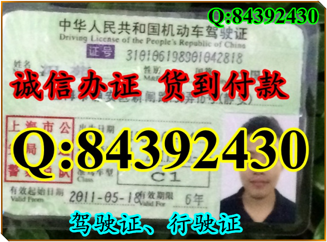 2016年 新版 驾驶证样本 驾驶证样本图片