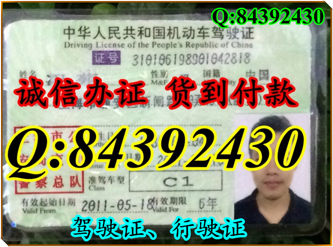 2016年 新版 驾驶证样本 驾驶证样本图片