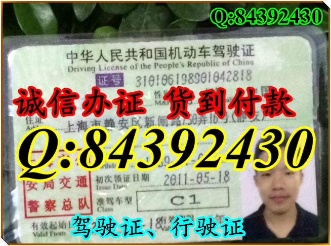 2016年 新版 驾驶证样本 驾驶证样本图片