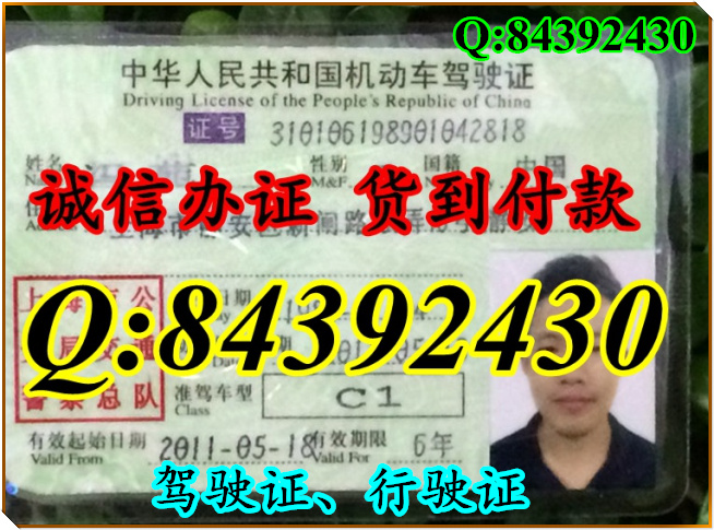 2016年 新版 驾驶证样本 驾驶证样本图片