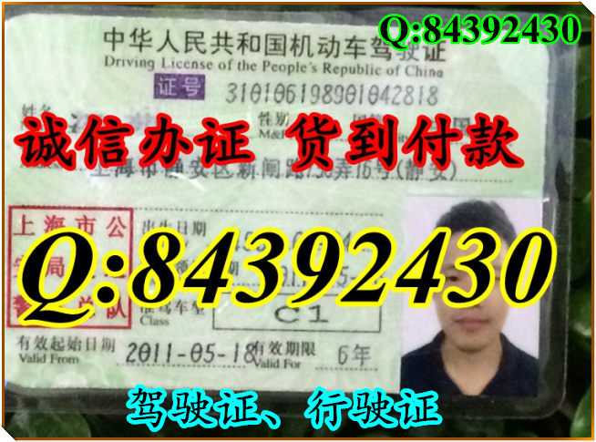 2016年 新版 驾驶证样本 驾驶证样本图片