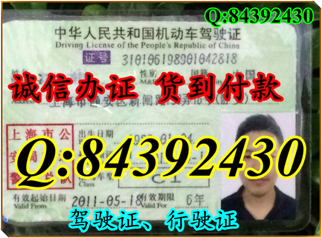 2016年 新版 驾驶证样本 驾驶证样本图片