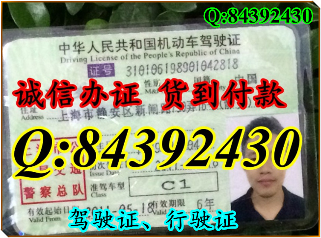 2016年 新版 驾驶证样本 驾驶证样本图片