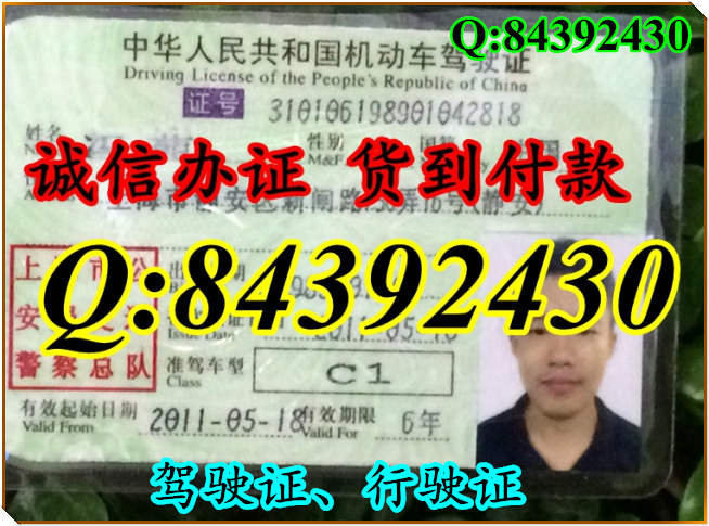 2016年 新版 驾驶证样本 驾驶证样本图片
