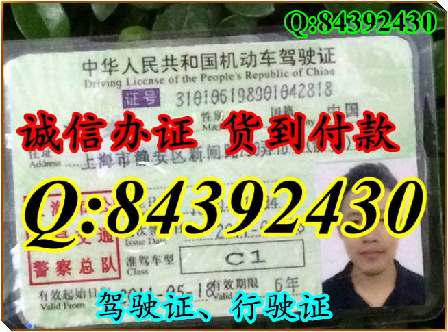 2016年 新版 驾驶证样本 驾驶证样本图片