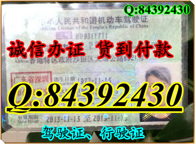 2016年 新版 驾驶证样本 驾驶证样本图片