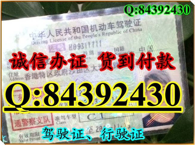 2016年 新版 驾驶证样本 驾驶证样本图片