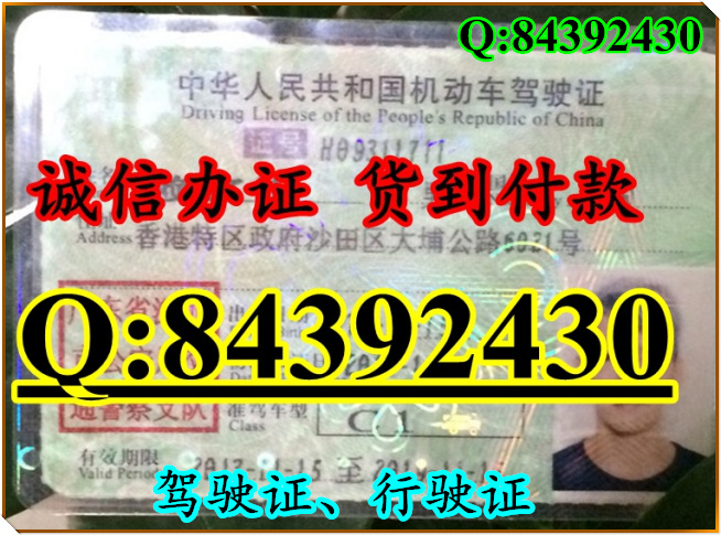 2016年 新版 驾驶证样本 驾驶证样本图片
