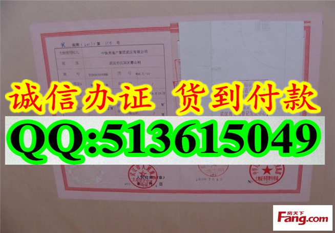 新版 国有土地使用证样本 河北 河南 广东