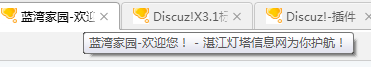 页面标签