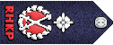 高级助理关务总监.gif