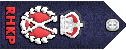 关务副总监.gif