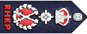 关务总监.gif
