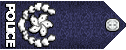 三级关务监督.gif