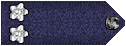 5.gif