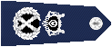14.gif