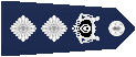11.gif