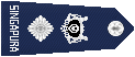 10.gif