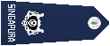 9.gif