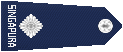 5.gif
