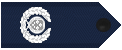 总警监