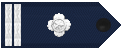 三级警督