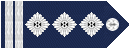 6.一级警督.gif