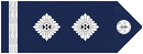 10.二级警司.gif