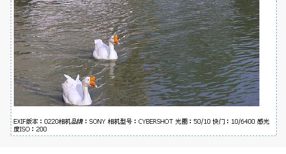 演示图片