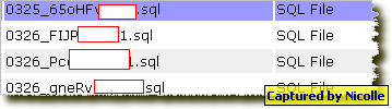 1.BMP