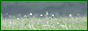 logo3..gif