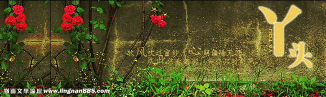 丫头.gif