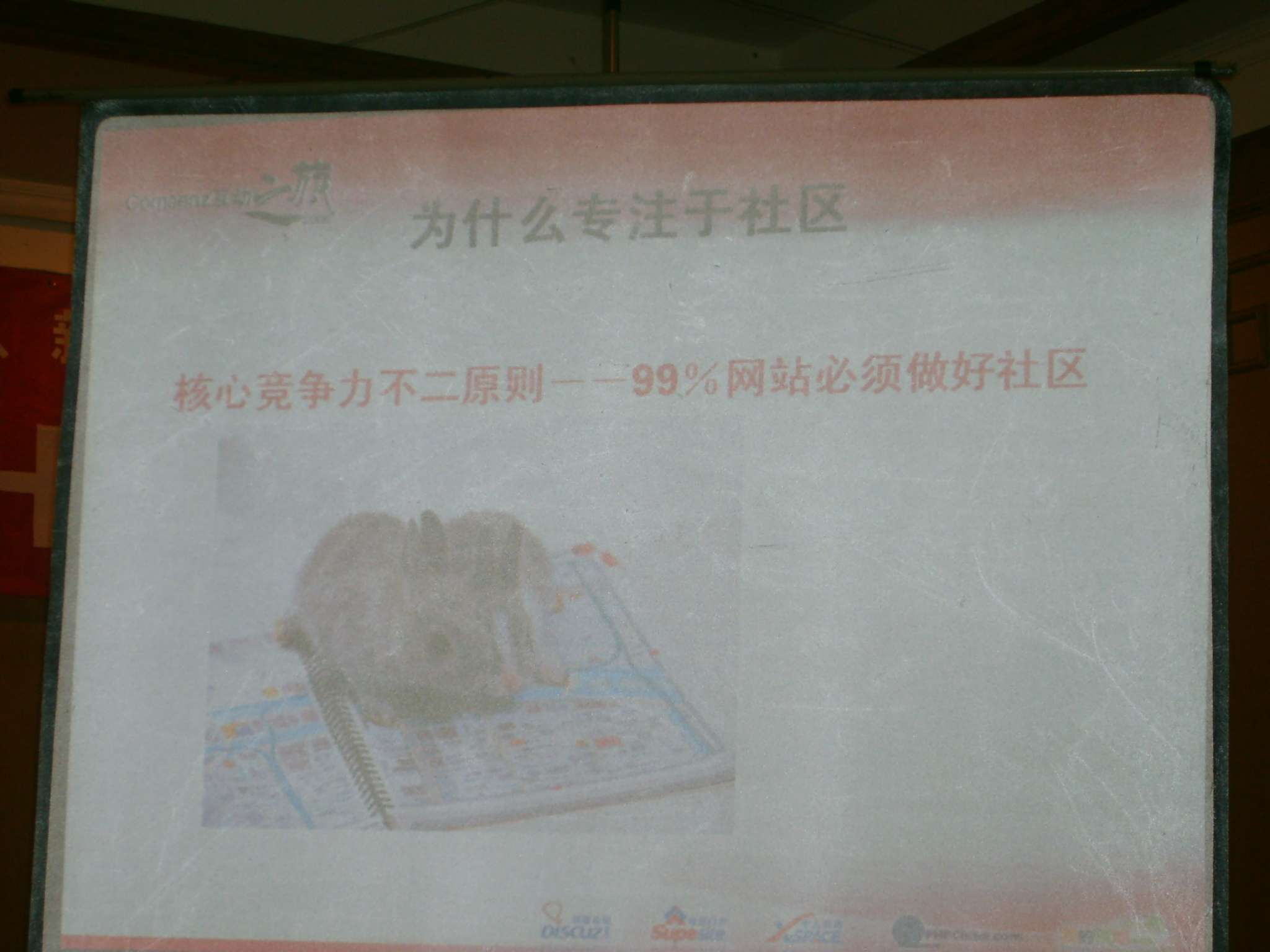 BigBull_S5007298.JPG