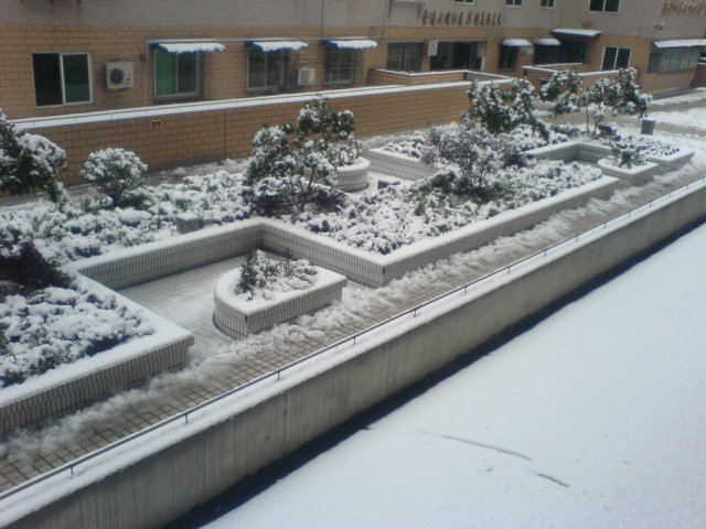 ABCD0009.JPG