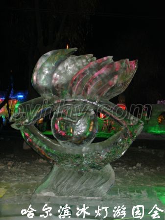 DSC09575.jpg