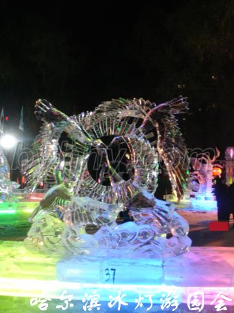 DSC09582.jpg