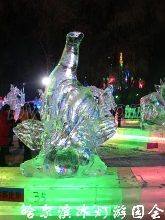 DSC09592.jpg