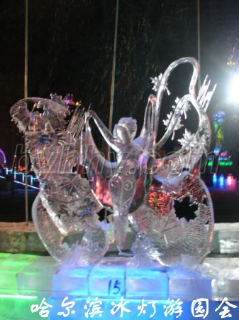 DSC09594.jpg