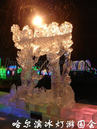DSC09596.jpg