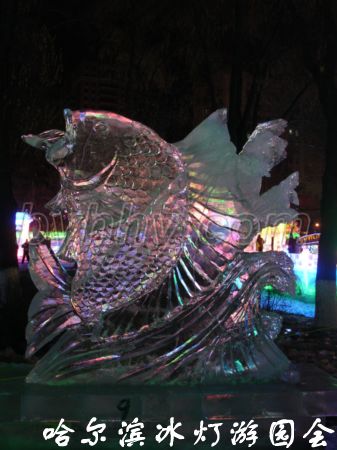 DSC09604.jpg
