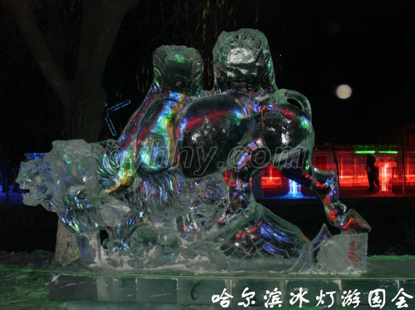 DSC09608.jpg