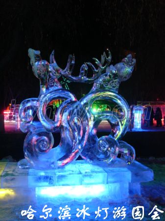 DSC09612.jpg