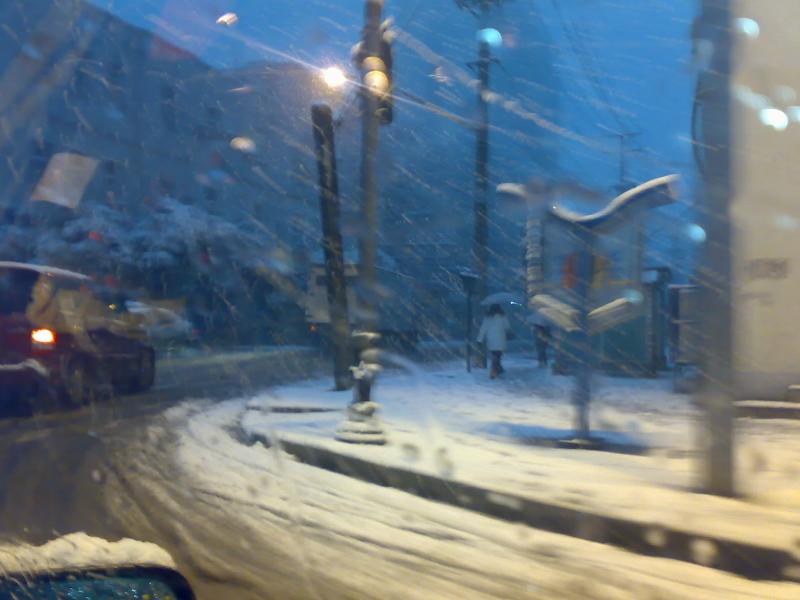 wuhansnow (9).jpg