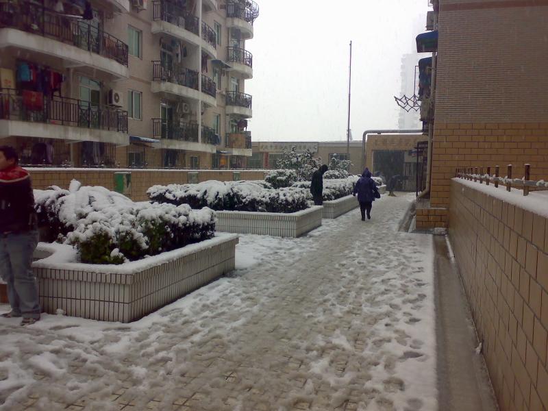wuhansnow (7).jpg