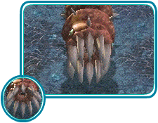 guai61.gif