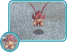 guaiboss37a.gif