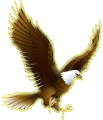weagle_logo.gif